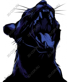  Roaring Panther
