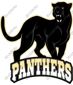  Fierce Panther