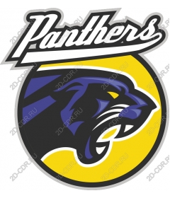  Panthers work