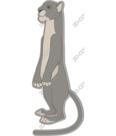 Standing grey cat