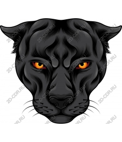  Fierce Black Panther