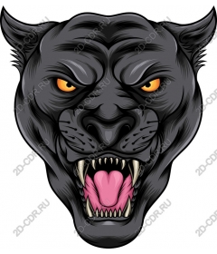 Head of a ferocious Panther