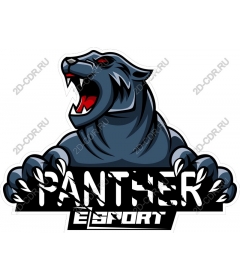  Panther ESports