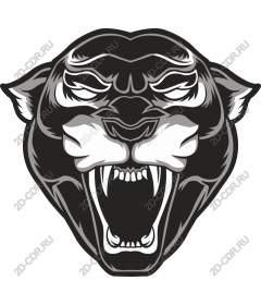  Fierce Black Panther