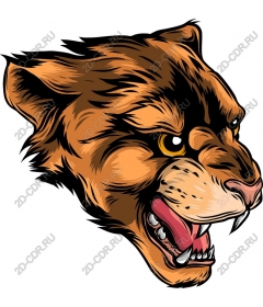  The majestic roaring lion head