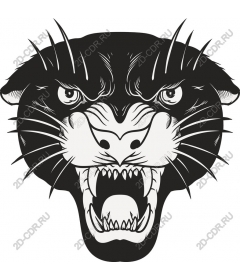 Fierce Black Panther