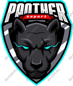  Panther ESports
