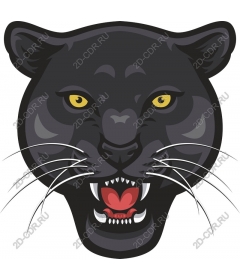  Black Panther