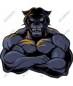 Muscular Panther