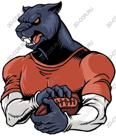 The football player of "Fierce Panther"