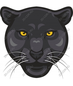  Black Panther