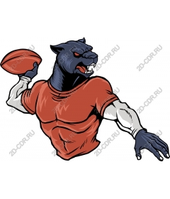 Quarterback The Panthers