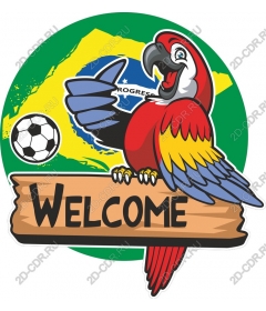 Welcome to Parrot Soccer