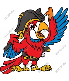  Bright pirate parrot