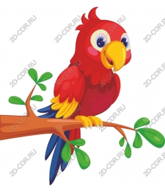  Cartoon parrot