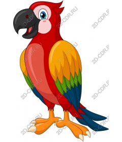  Bright cartoon parrot