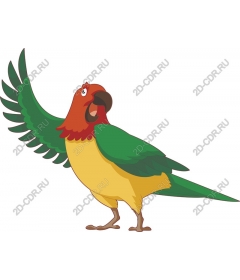  Colorful parrot