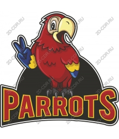  Colorful parrot