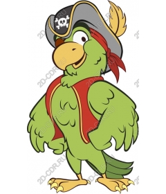 Fun pirate parrot