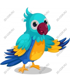  Colorful parrot