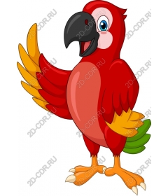 Funny parrot
