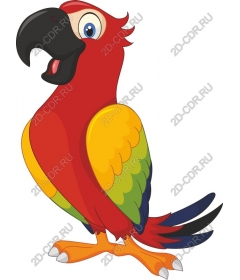  Bright cartoon parrot