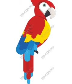  Bright tropical parrot
