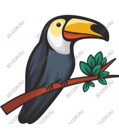 Tropical Toucan