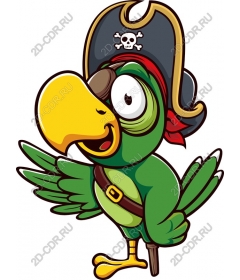 Pirate parrot