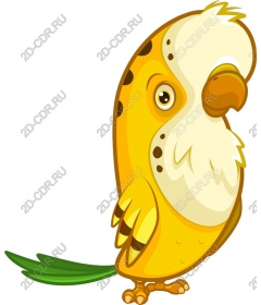  Cute yellow parrot