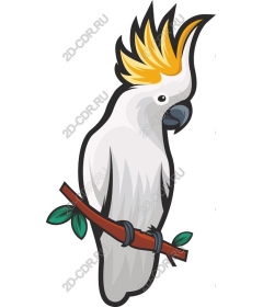  Bright cockatoo