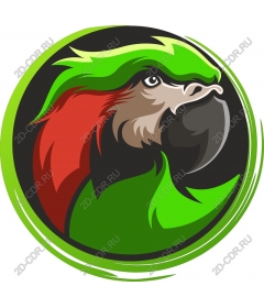 The head of a parrot