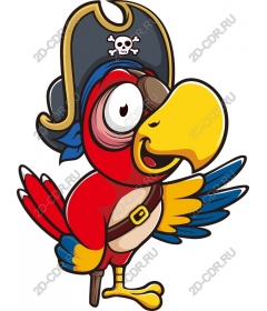 Pirate parrot