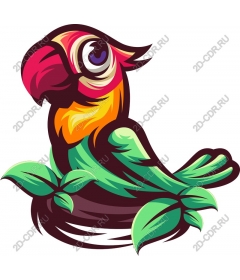 Tropical parrot