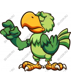 Funny parrot