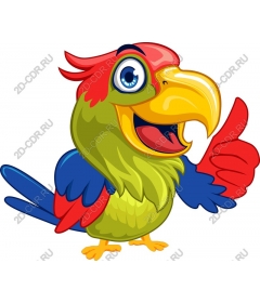  Bright parrot