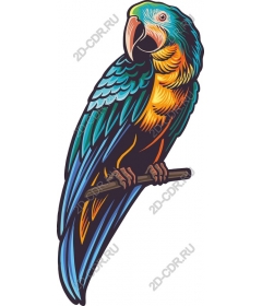  Bright parrot and