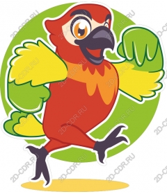  Colorful and playful parrot