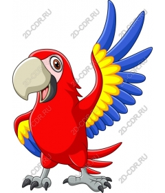  Bright parrot