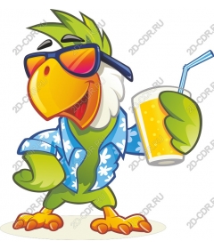  Tropical parrot - Summer fun