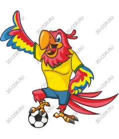  Bright parrot is the mascot of the soccer