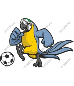  Bright parrot-football