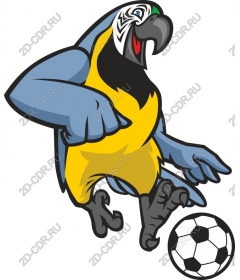  Bright parrot-football