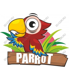  Bright parrot