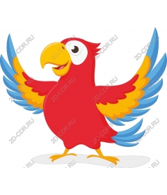  Bright red parrot