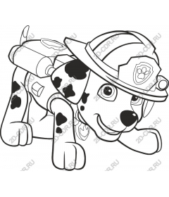 Dalmatian firefighter