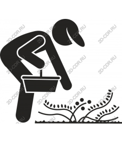  Amateur gardening