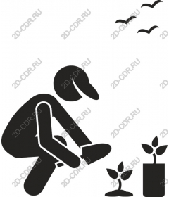  Gardening Planting