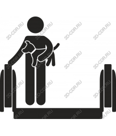  Fitness and companion dog