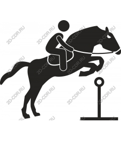 Horse riding, jumping horse